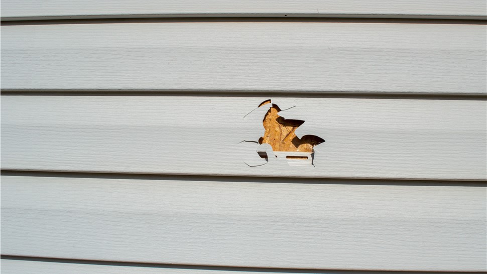 Siding - Siding Repair Photo 94