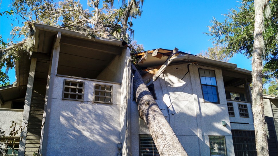 Storm Damage - Hurricane Damage Photo 62