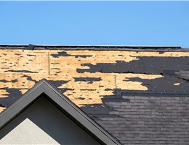 Storm Damage - Wind Damage Photo 26