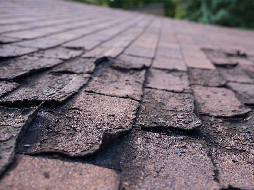 The Right Time to Schedule a Professional Roof Inspection