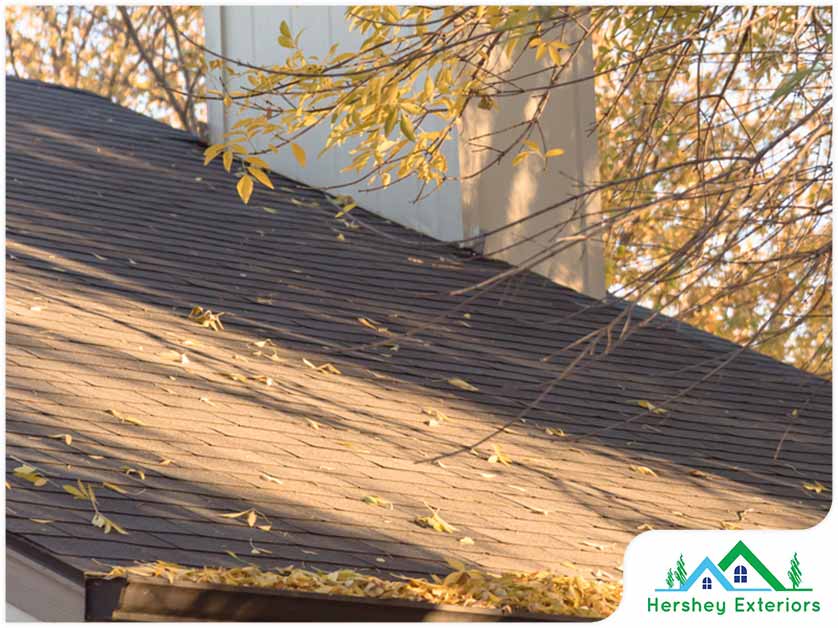 4 Things You Should NOT Do to Your Asphalt Shingles