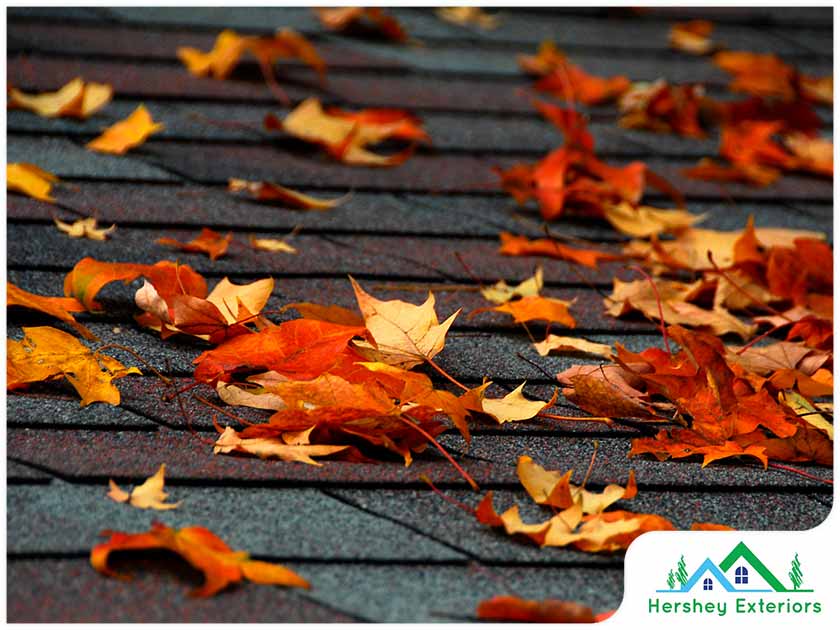 How Can Fallen Leaves Damage Your Roof?