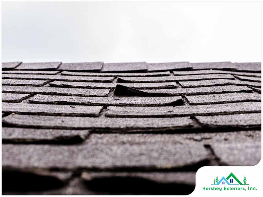 Why It’s Necessary to Know Your Roof's Age