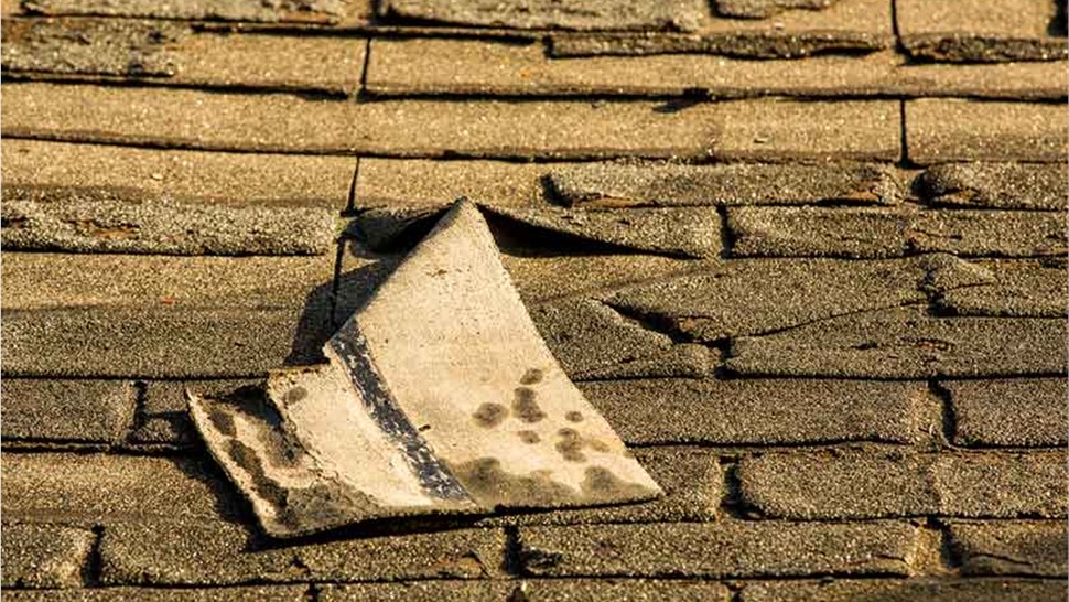 Storm Damage Photo 7