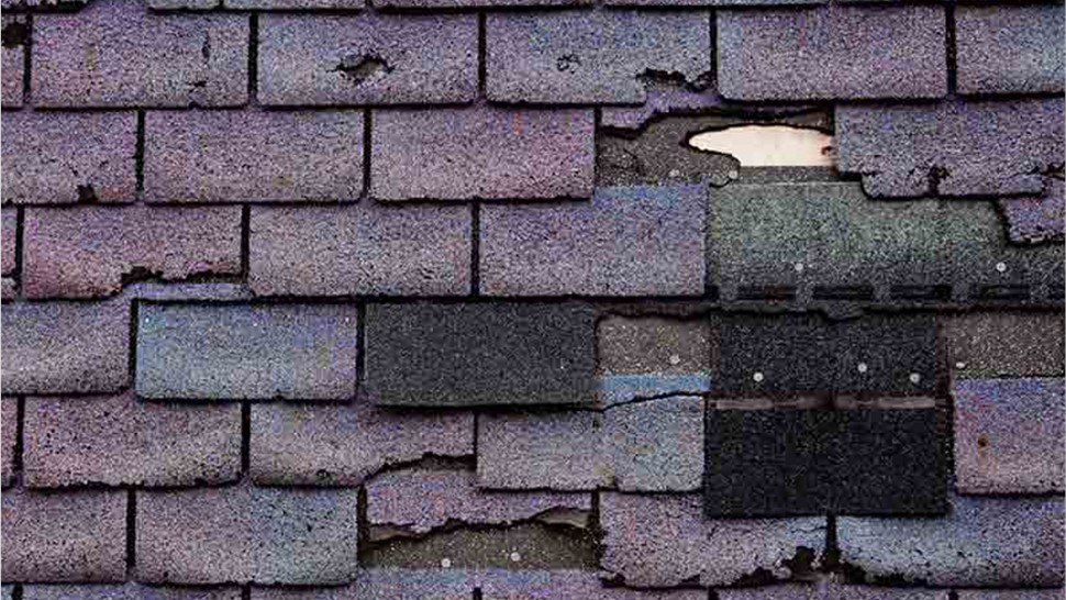 Storm Damage Photo 2