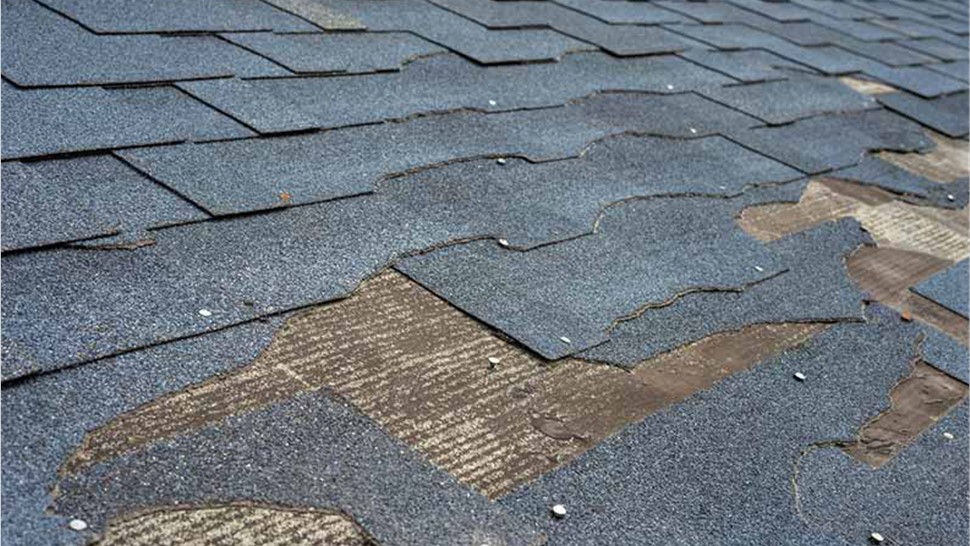 Storm Damage Photo 3