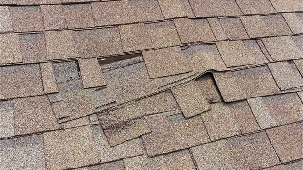 Storm Damage Photo 1