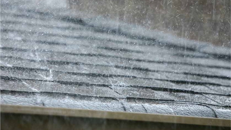 Storm Damage Photo 4