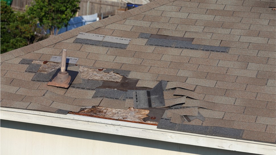Storm Damage - Wind Damage Photo 1