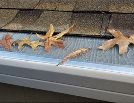 Gutters - Gutter Guards Photo 2