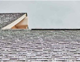 Storm Damage - Hail Damage Photo 2