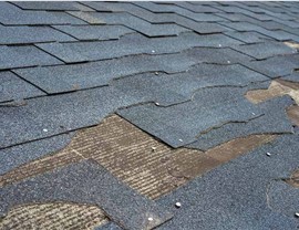 Storm Damage Photo 3