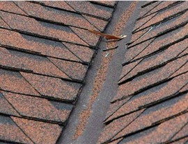 Roofing - Roof Replacement Photo 4