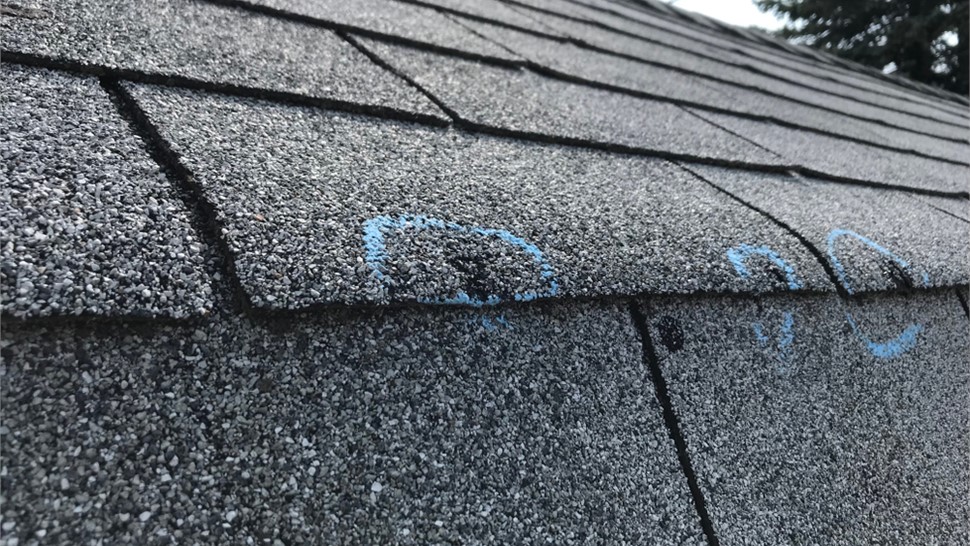 Hail Damage Photo 60