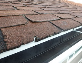 Hail Damage Photo 73