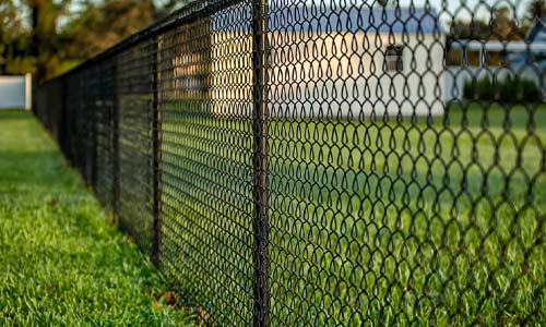 Chain Link Fence