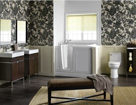 Bathtubs - Walk-in Tubs Photo 3