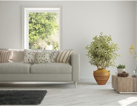 Picture Windows Photo 4