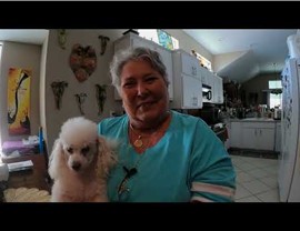 Video Testimonials Photo 4