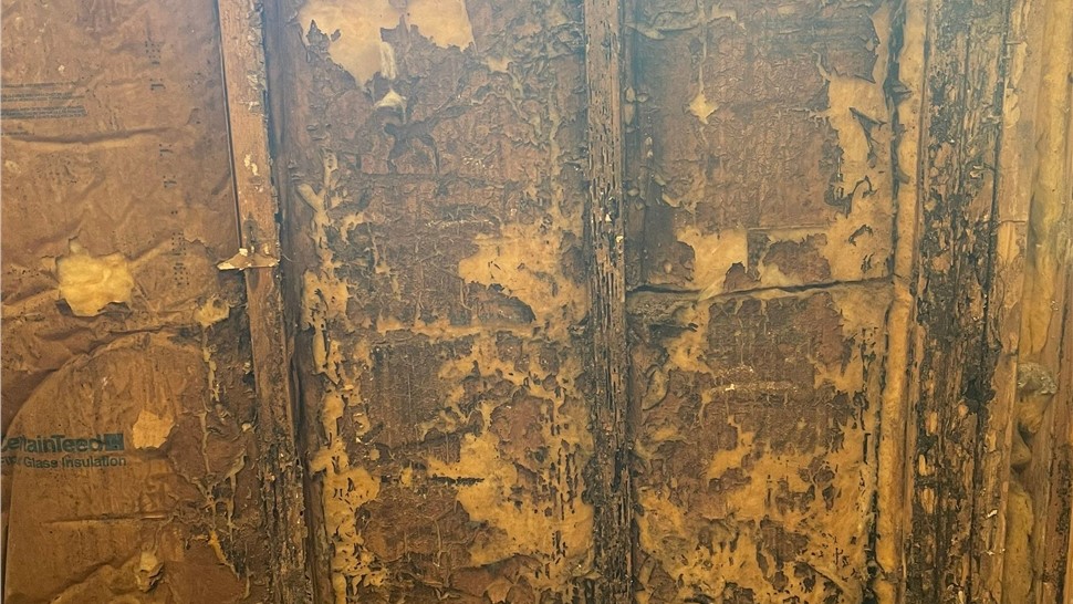 Tubs & Showers, Tubs & Showers Project in Pensacola, FL by Hometown Contractors, Inc.