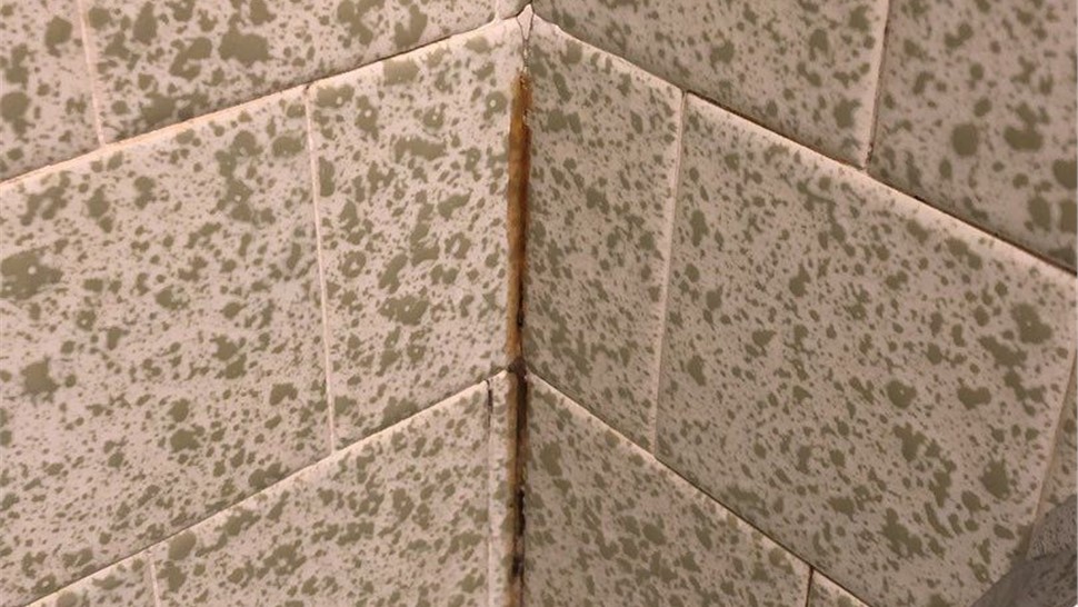 Tubs & Showers Project in Pensacola, FL by Hometown Contractors, Inc.