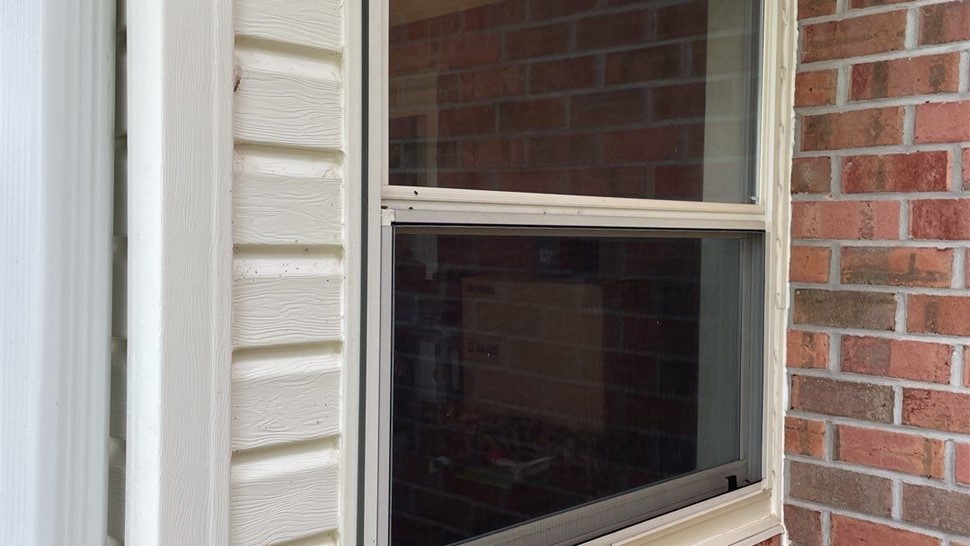 Windows & Doors Project in Milton, FL by Hometown Contractors, Inc.