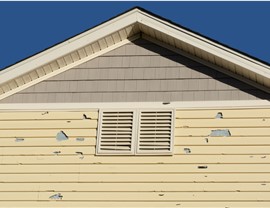 Siding Repairs Photo 4