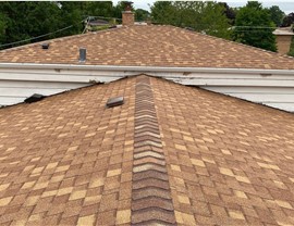 Gutters, Roofing Project in Morton Grove, IL by Horizon Restoration