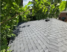 Roofing, Roofing Replacement, Siding Project in Des Plaines, IL by Horizon Restoration