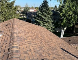 Gutters, Roofing, Roofing, Roofing Replacement Project in Orland Park, IL by Horizon Restoration