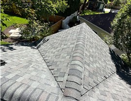 Roofing, Roofing, Roofing Replacement, Siding, Windows Project in Park Ridge, IL by Horizon Restoration