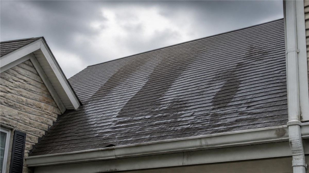 Roof Leak Detection in Monroe, WI: Early Warning Signs