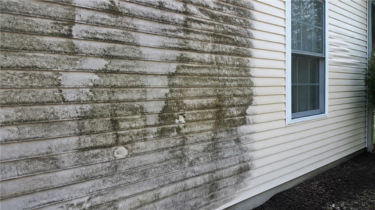 Mold and Mildew on Siding in Huntley, IL: Cleaning vs Replacement