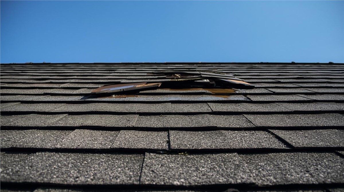 Common Roof Repairs Needed by Homeowners in Stockton, IL