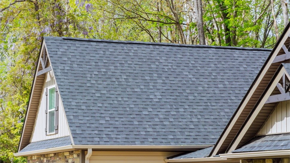 Roofing - Roof Types Photo 35