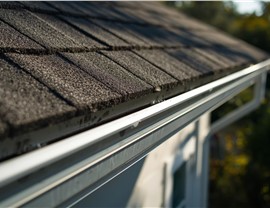 Gutters - Gutter Details Photo 18