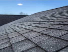 Roofing – Roof System Photo 95