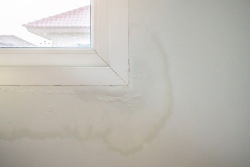 Signs You Have a Window Leak