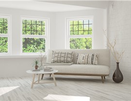 Replacement Windows - Window Options & Materials Photo 4