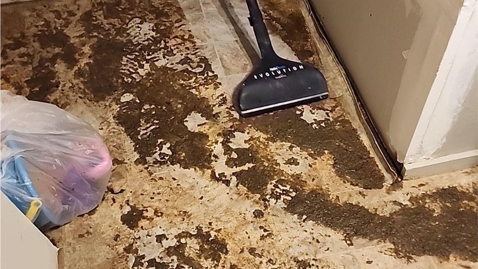 Service Areas - Biohazard Cleanup Photo 51