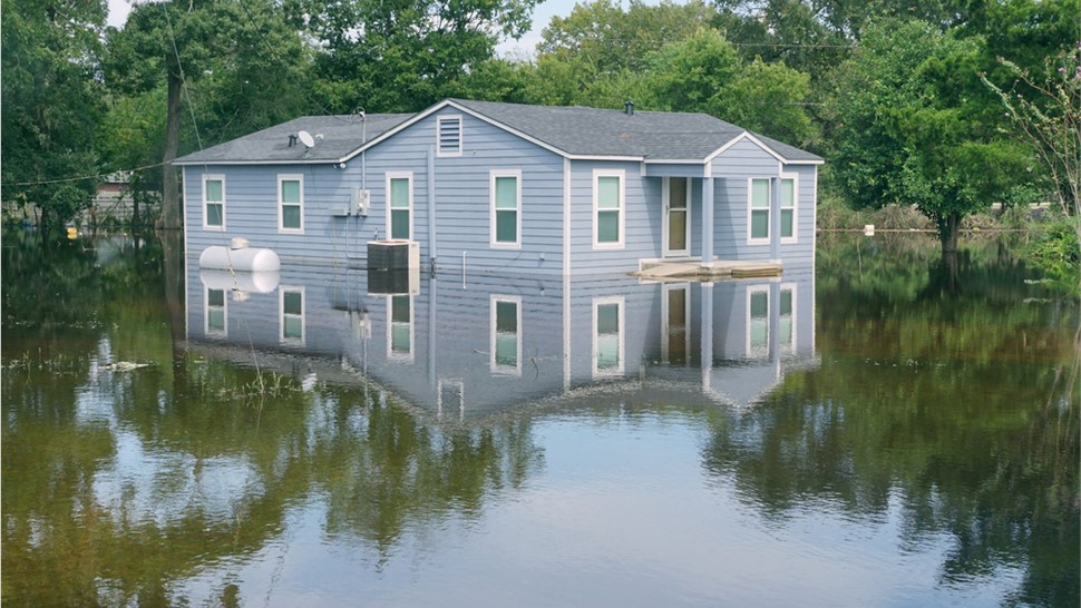 Storm Damage - Flood Damage Photo 1