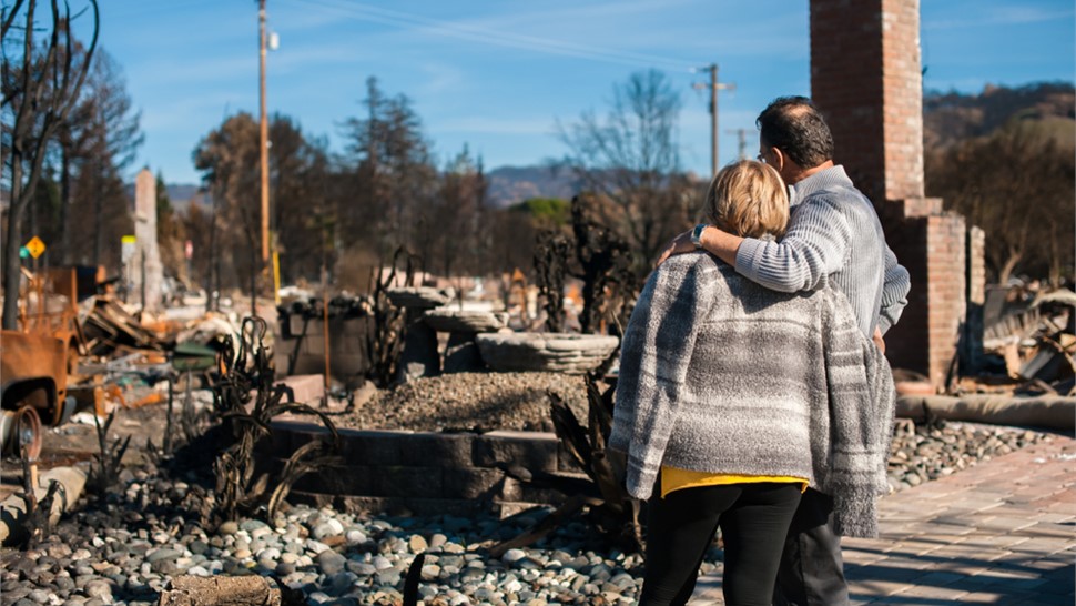 Restoration - Disaster Cleanup Photo 47