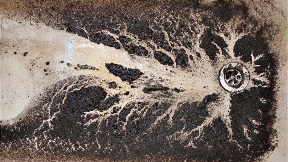 Water Damage - Sewage Cleanup Photo 1