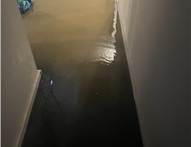 Service Areas - Biohazard Cleanup Photo 27