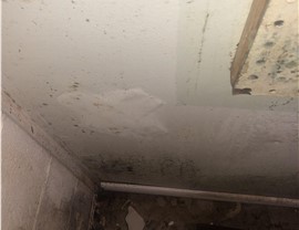 Service Areas - Restoration Photo 3