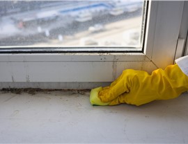 Restoration - Mold Removal & Remediation Photo 25