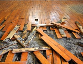 Storm Damage - Flood Damage Photo 2