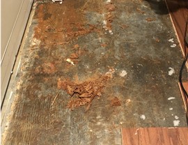 Water Damage - Flood Water Damage Photo 3