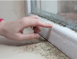 Restoration - Mold Removal & Remediation Photo 2