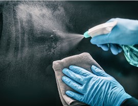 Disinfection Photo 48